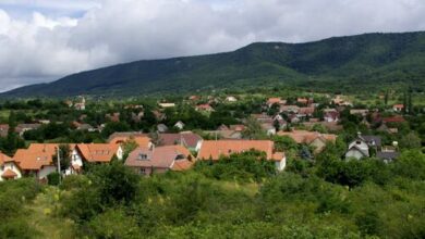 Borbolya Apartmanok Cserkút 