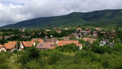 Borbolya Vendégház Cserkút 