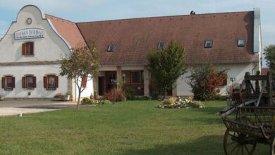 Borház Panzió Hajós-Pincefalu 