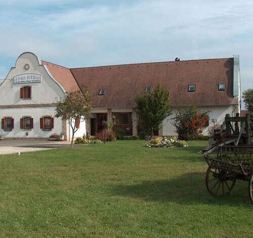 Borház Panzió Hajós-Pincefalu 