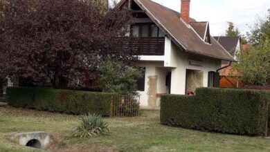 Bori Vendégház Vonyarcvashegy 