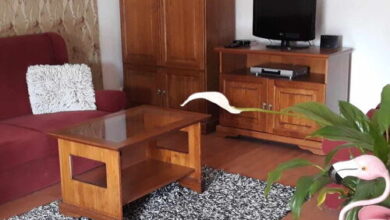 Boróka 2 Apartman Hajdúszoboszló 