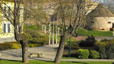 Boróka Apartman Gyula 