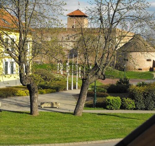 Boróka Apartman Gyula 