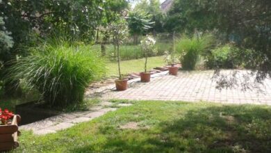 Boróka Apartman Sarud 