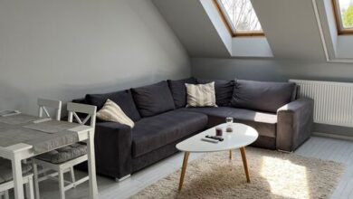 Boróka Apartman Tiszafüred 