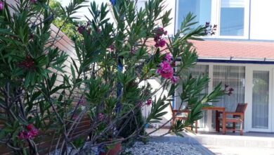 Boróka Lak Vendégház Tiszakécske 