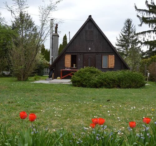 Borókaház Családi Nyaraló Velence 