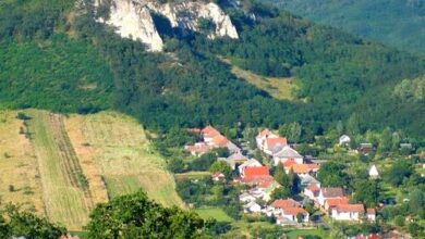 Borókás Vendégház ** Sirok 