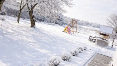 Borostyán Vendégház Bakonyság 