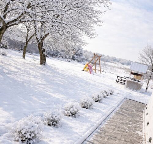 Borostyán Vendégház Bakonyság 