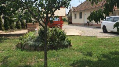 Borostyán Vendégház Demjén 