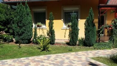 Borostyán Vendégház Kőszeg 