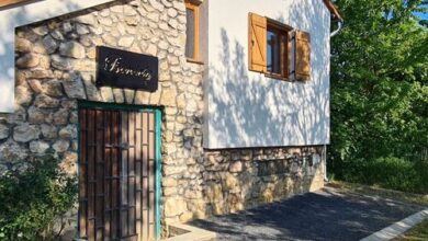 Borvirág Apartman Balatonederics 