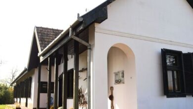 Börzsöny Wellness Vendégház Borsosberény 