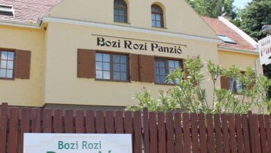 Bozi Rozi Panzió Fertőboz 