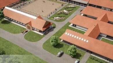 Breier Farm - Tanya Panzió Pomáz 