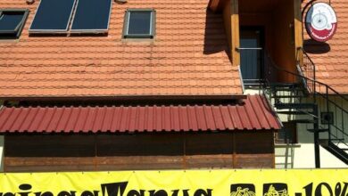 Bringatanya Balatonkenese 