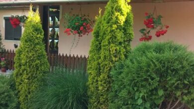 Bükk Vendégház Mályinka 