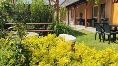 Bükk-Völgye Apartman Bogács 