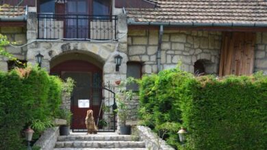 Buzál-Mórocza Pincészet és Szálláshely Etyek 