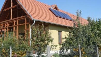 Búzavirág Tábor Vámosújfalu 