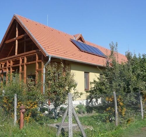 Búzavirág Tábor Vámosújfalu 