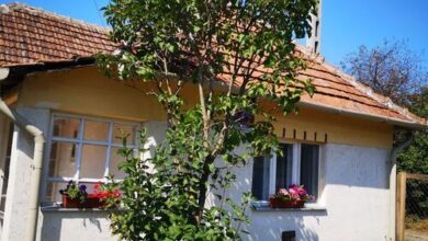 Búzavirág Vendégház Poroszló 