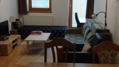 Central Pécs Free Parking Apartman 