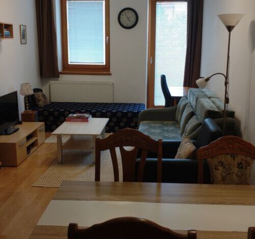 Central Pécs Free Parking Apartman 