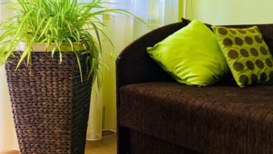 Centrum Apartman Szentes 