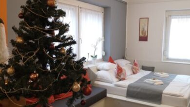 Centrum Luxus Apartman Makó 