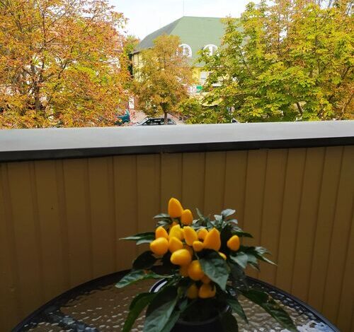 Chili Apartman Harkány 