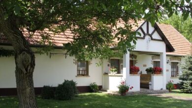 Cinege Vendégház Bugac 