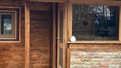 Cinke házikó - fészek a természetben Kismaros 