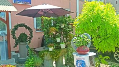 Conny Apartman Tiszavasvári 