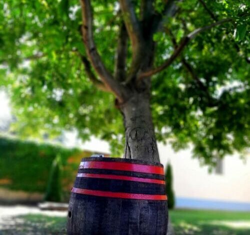 Cosa-Nostra Apartman Hajdúszoboszló 