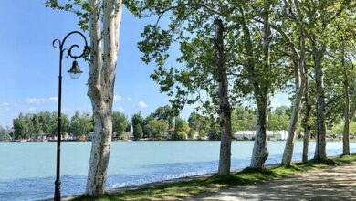 Családi Nyugalom Apartman Balatonföldvár 