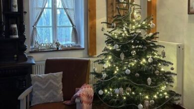 Csapi Vendégház Csapi 