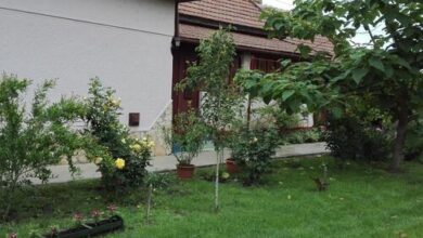 Császárfa Vendégház Abádszalók 