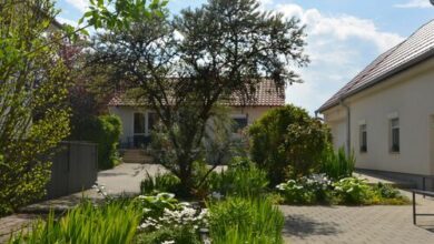 Csenár Apartman IV Hegykő 