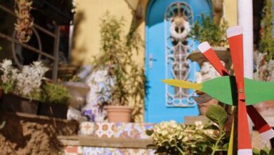 Csendes Odú Apartman Dunakeszi 