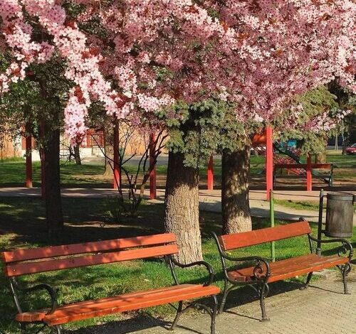 Csendespihenő Apartman Miskolc 