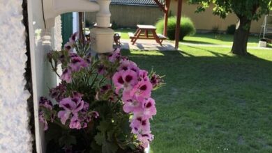 Cseresznyés Ház Lipót 