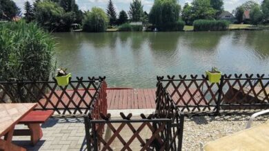 Cseresznyevirág Vendégház Békésszentandrás 