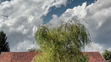 Cseri Porta Szalafő 