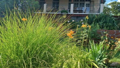 Csiba Villa Révfülöp 