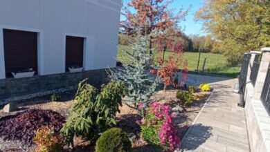 Csigaház Apartman Badacsonytomaj 