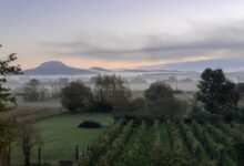 CsillaG Apartman Kisapáti 