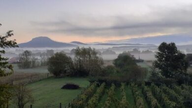 CsillaG Apartman Kisapáti 